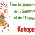 sites amis logo kokkopelli