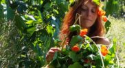 Johanna con las capuchinas