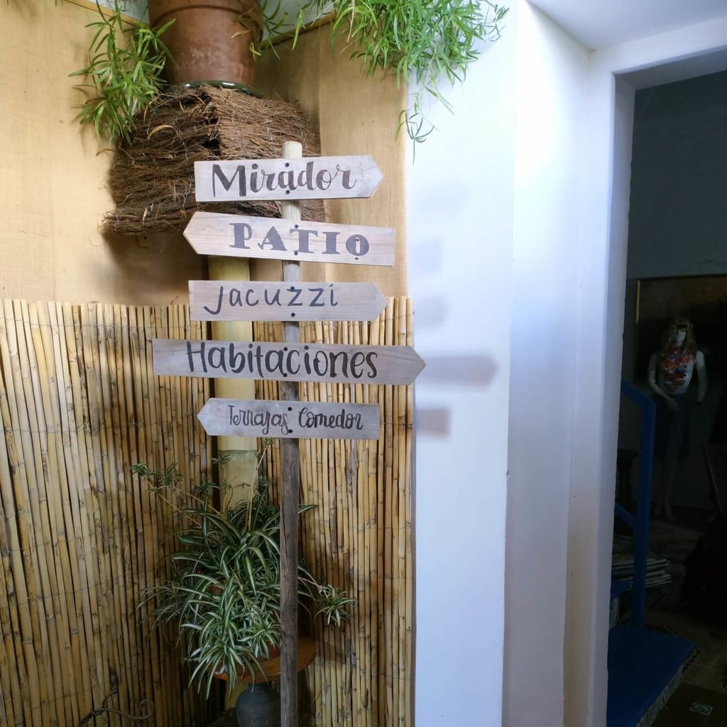 5 panneaux de directions en bois avec des plantes