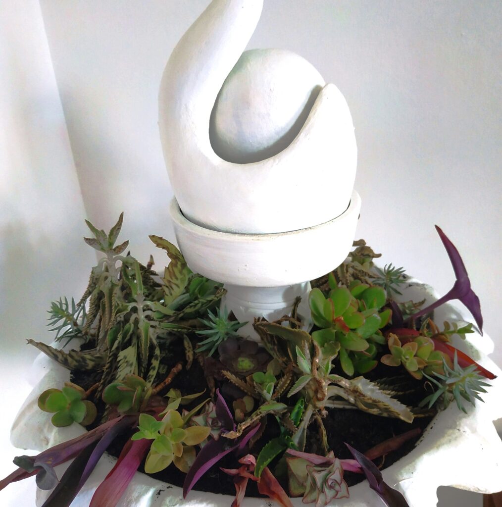 succulent green plants with a bizarrely shaped white fountain
