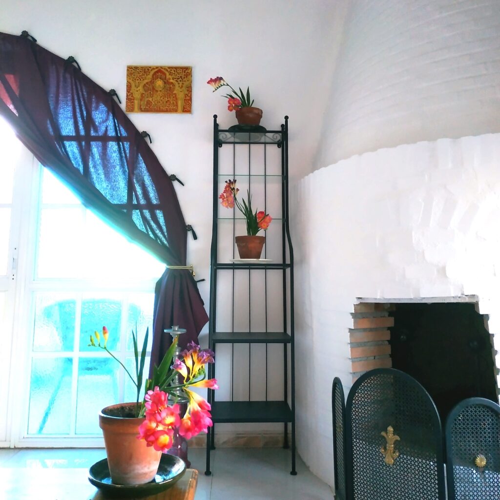 Bright room with several flower pots