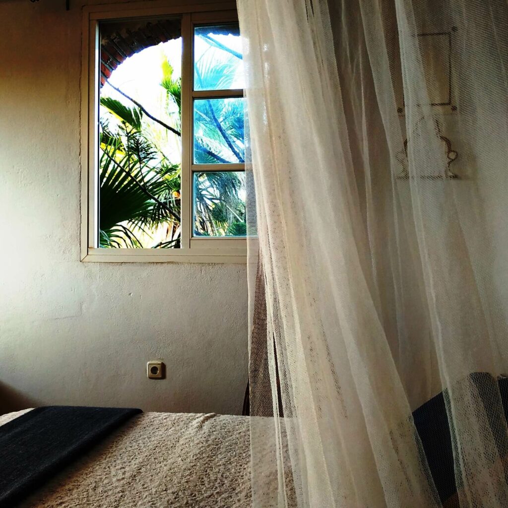 bedroom window overlooking palm trees, with bed and mosquito net