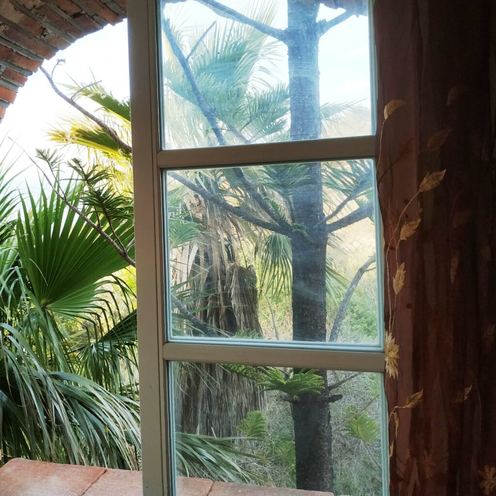 window with one casement open, overlooking palm trees