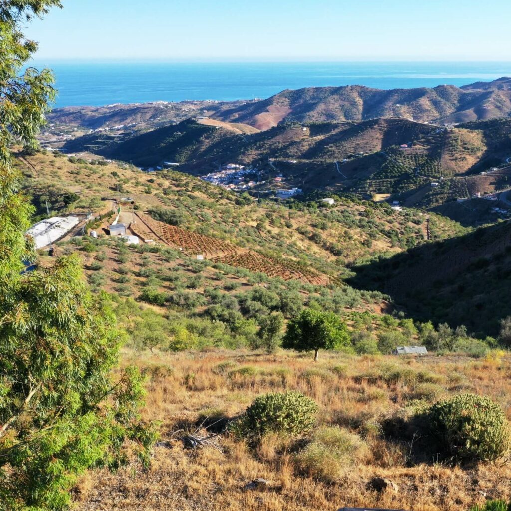 Blick auf das Mittelmeer mit der Macchia und den andalusischen Bergen im Vordergrund.