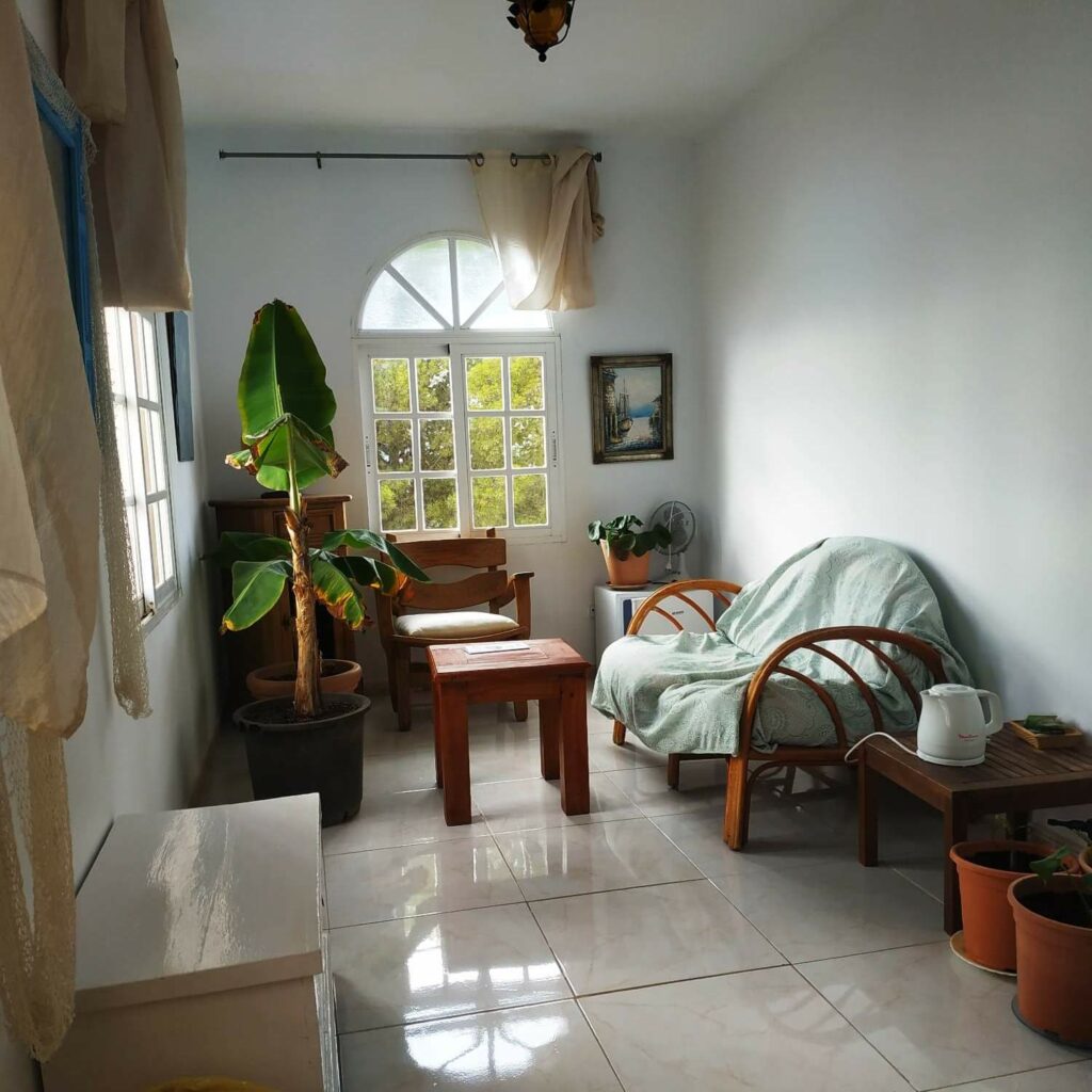 Helles Wohnzimmer mit Rattansofa und einem Bananenbaum im Topf