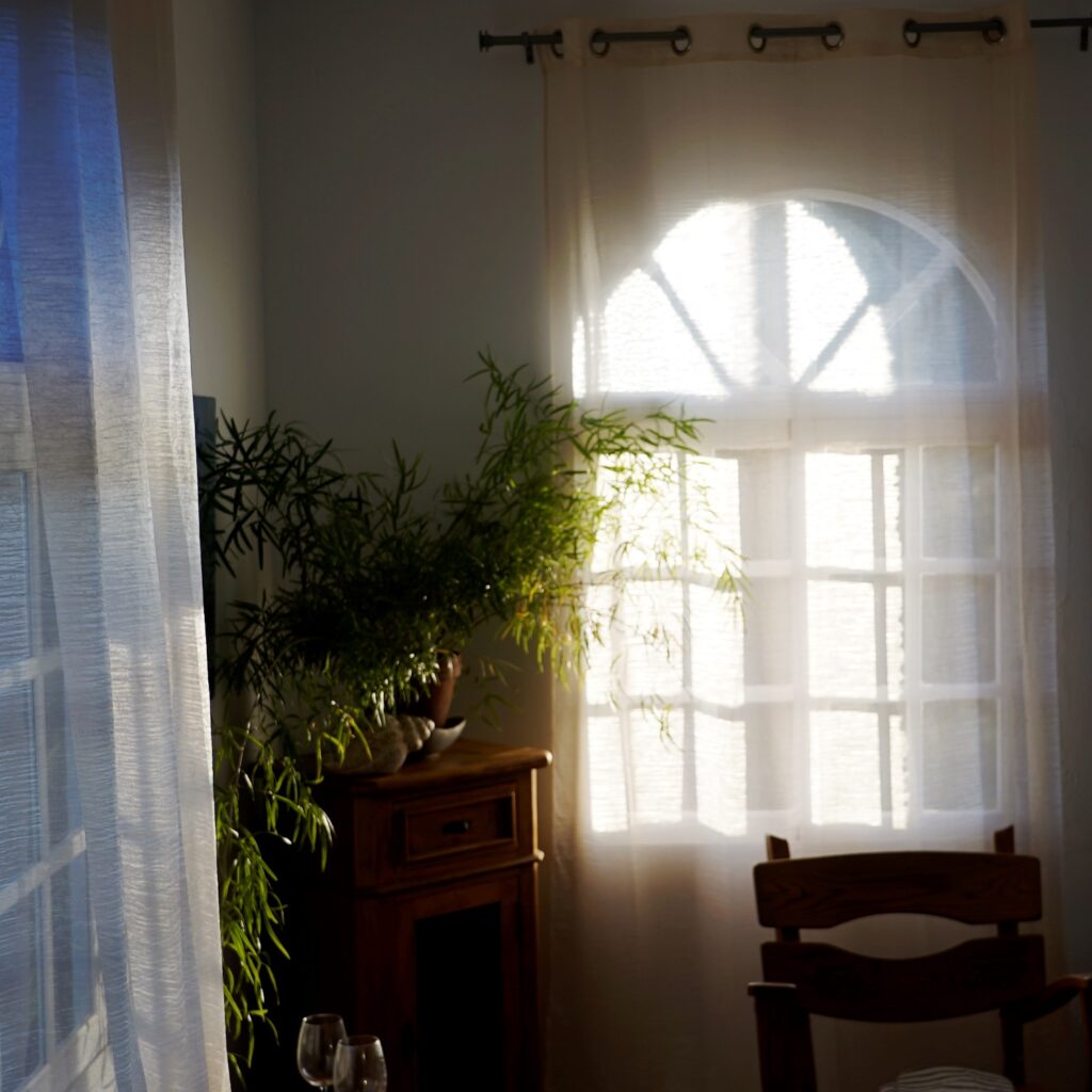 backlit room with two windows and a potted plant